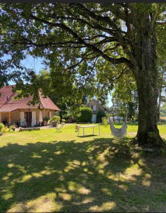 La Chapelle-Saint-Sauveur Nature Et Calme公寓 外观 照片