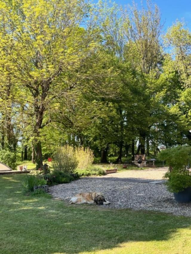 La Chapelle-Saint-Sauveur Nature Et Calme公寓 外观 照片